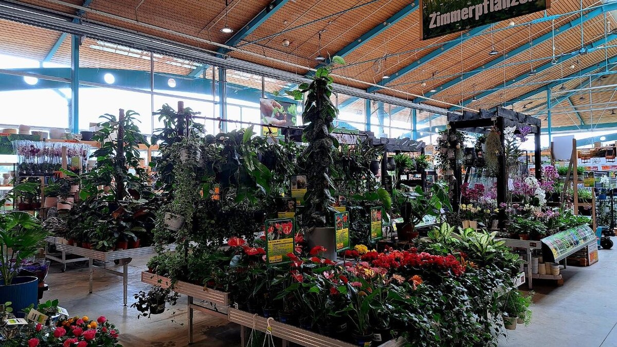 Bilder HORNBACH Gartencenter Göppingen