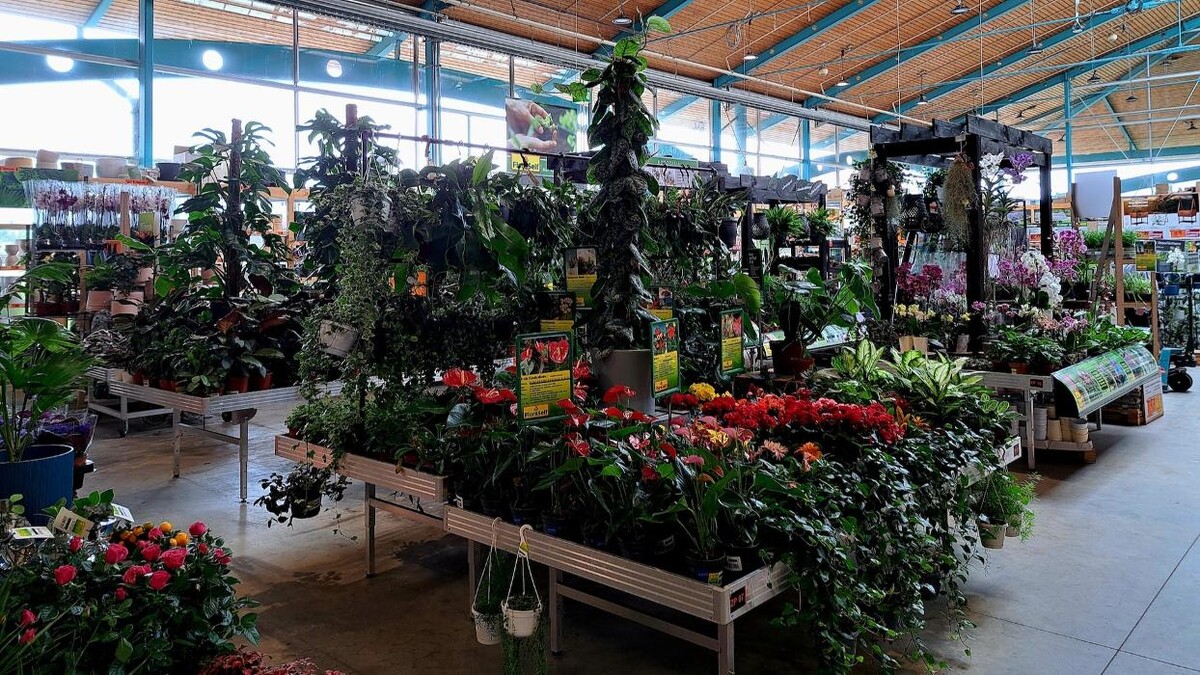 Bilder HORNBACH Gartencenter Göppingen