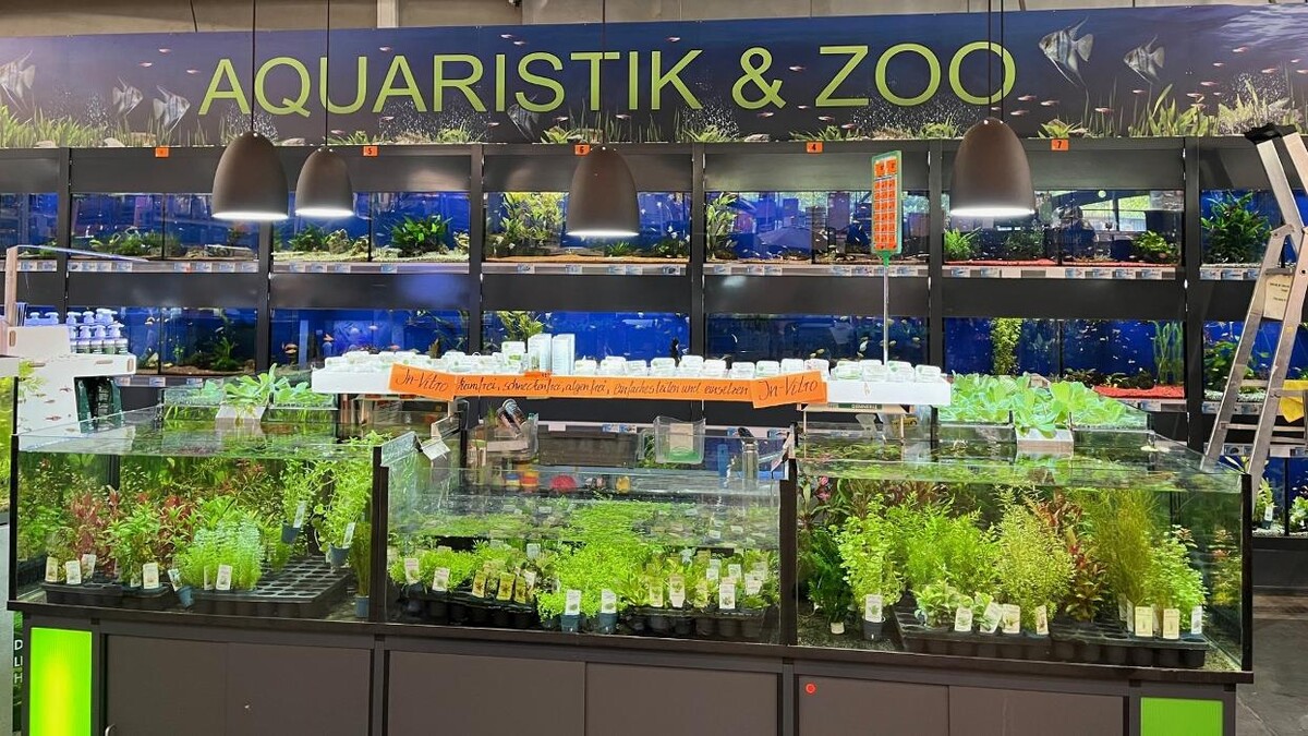 Bilder HORNBACH Gartencenter Esslingen