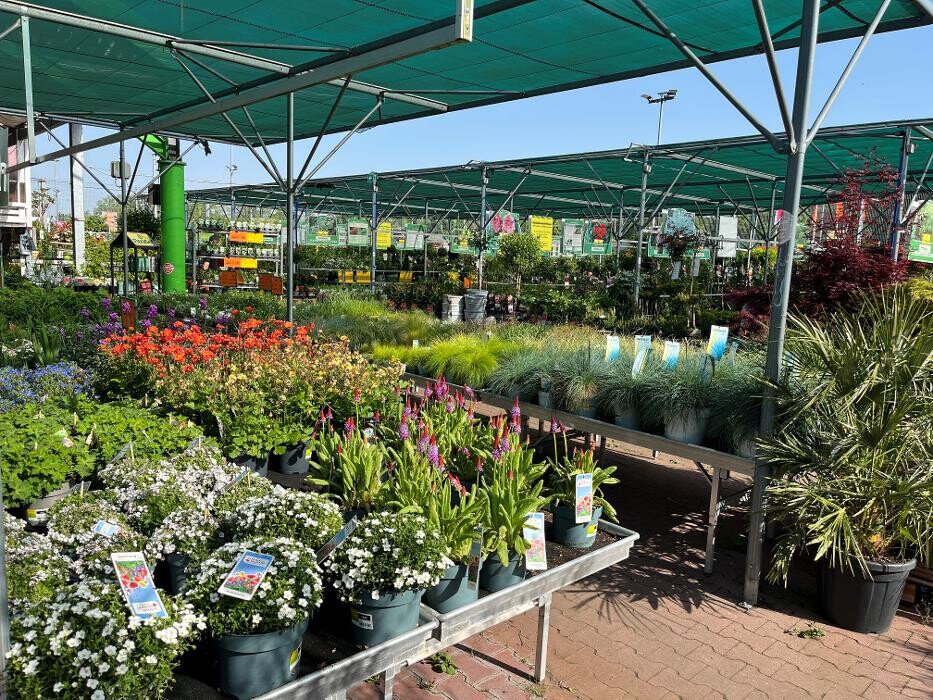 Bilder HORNBACH Gartencenter Ludwigshafen-Oggersheim