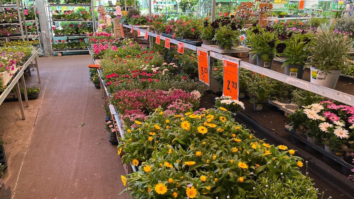 Bilder HORNBACH Gartencenter Berlin-Weissensee