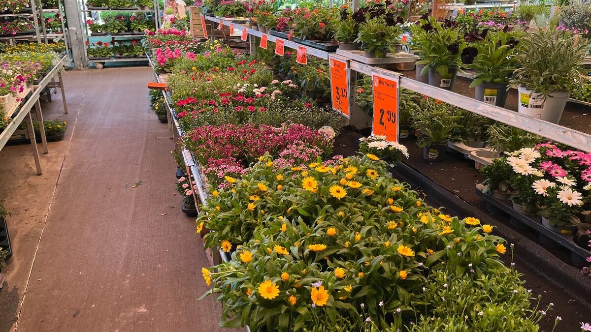 Bilder HORNBACH Gartencenter Berlin-Weissensee