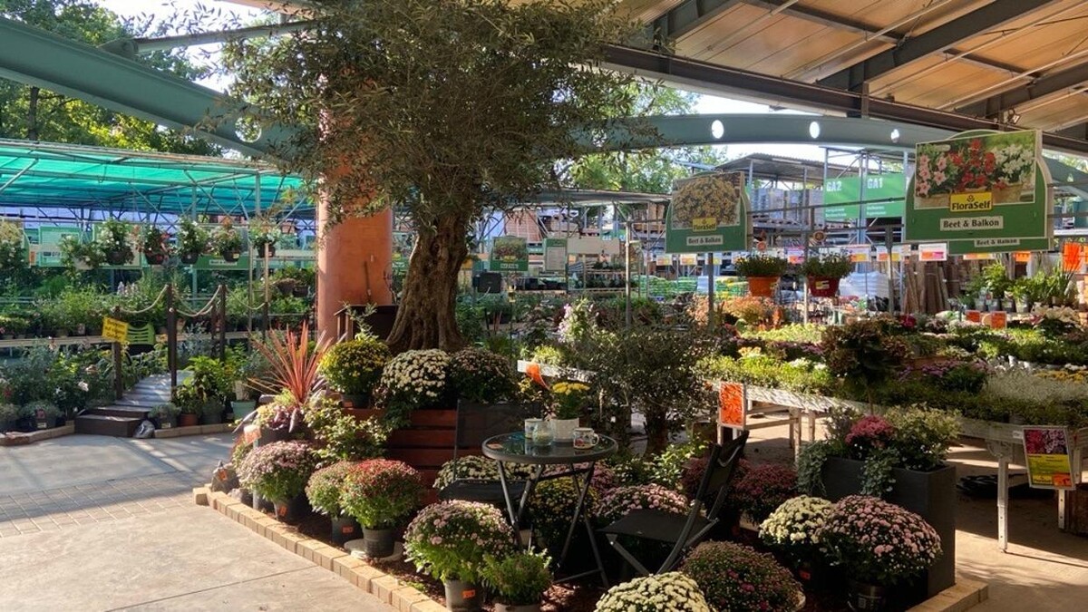 Bilder HORNBACH Gartencenter Berlin-Mariendorf