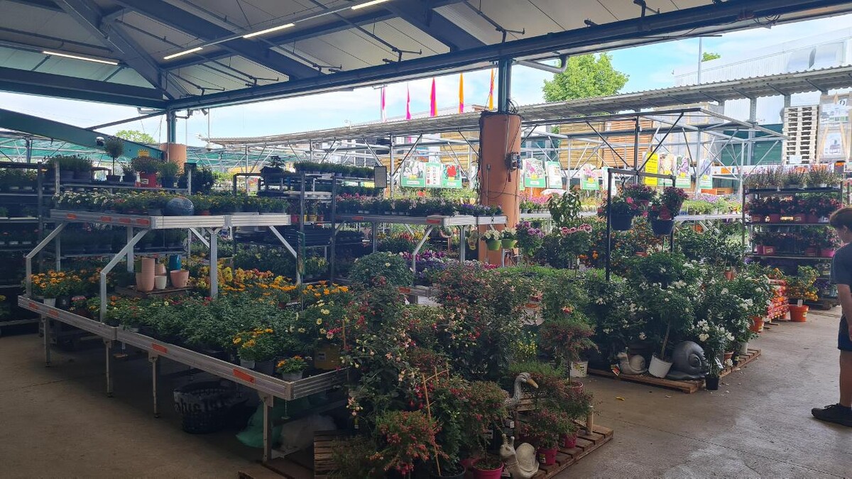 Bilder HORNBACH Gartencenter Darmstadt