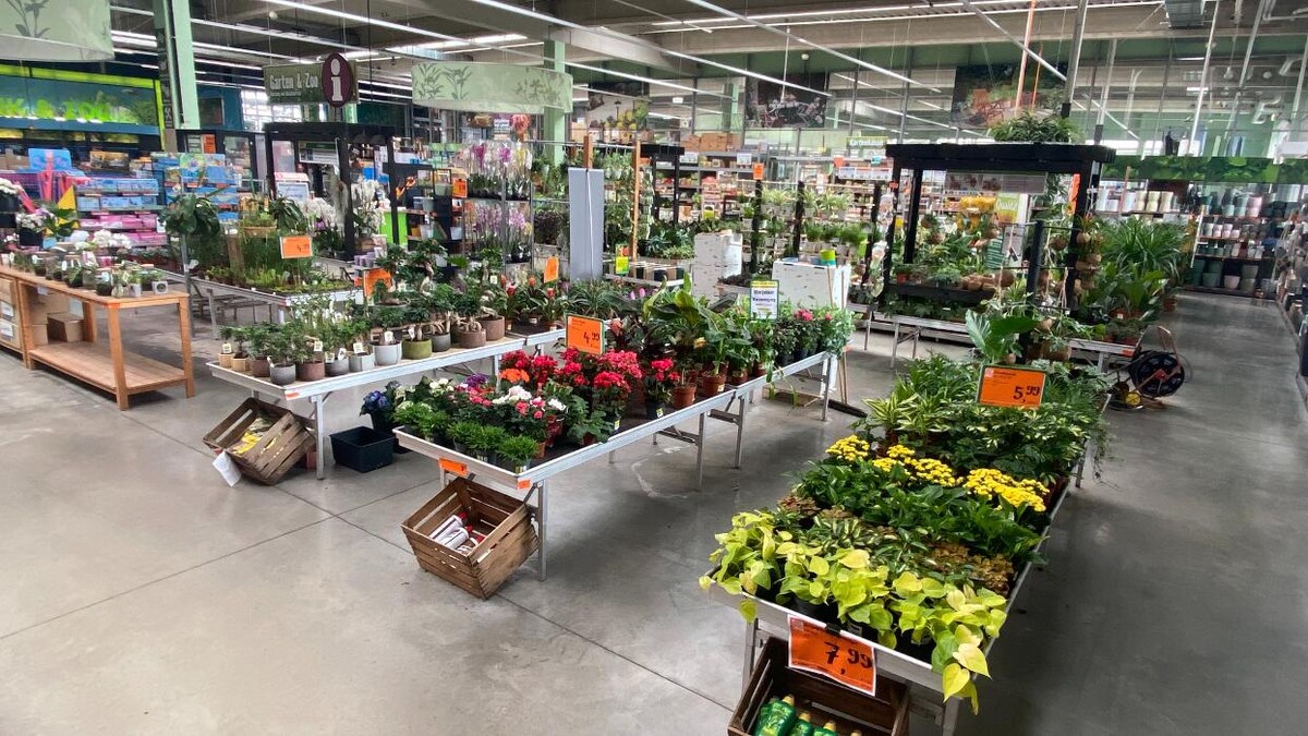 Bilder HORNBACH Gartencenter Hamburg-Eidelstedt