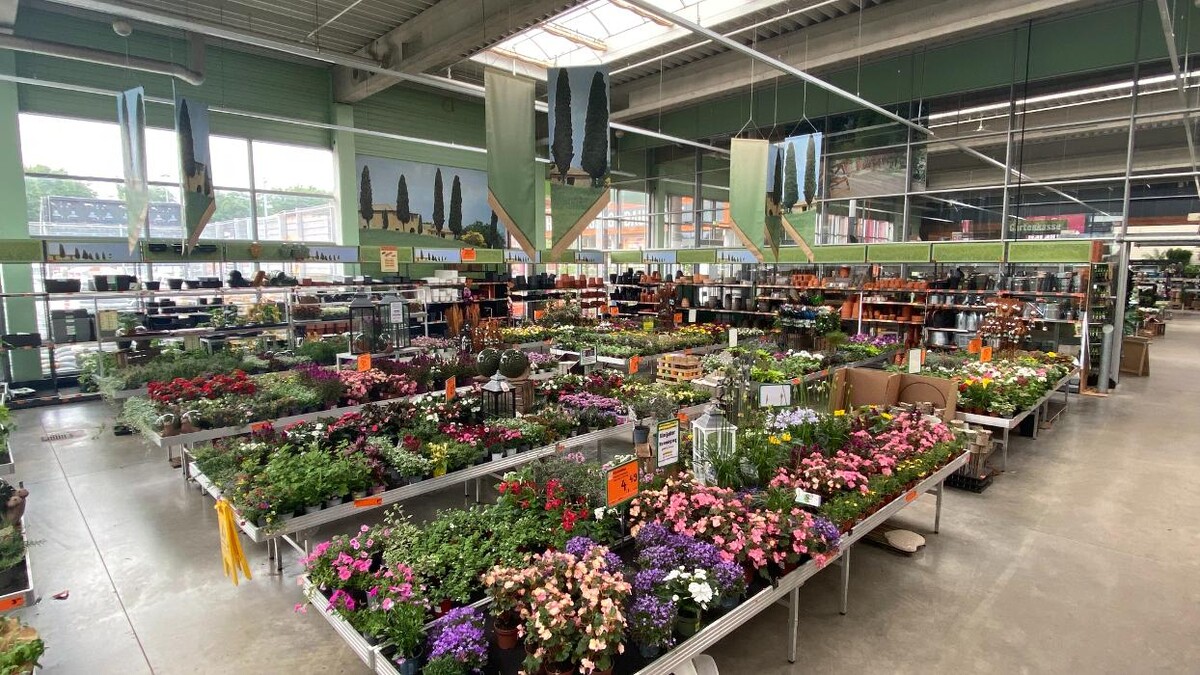 Bilder HORNBACH Gartencenter Hamburg-Eidelstedt