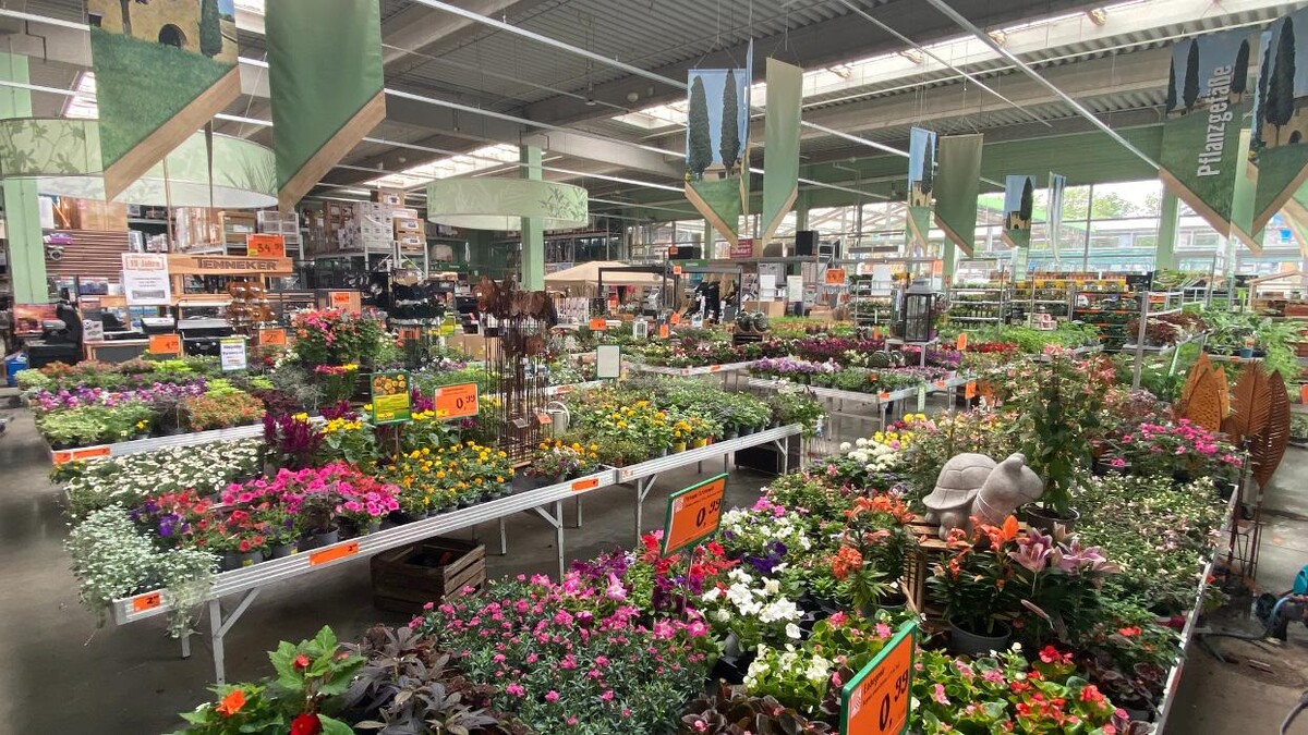 Bilder HORNBACH Gartencenter Hamburg-Eidelstedt
