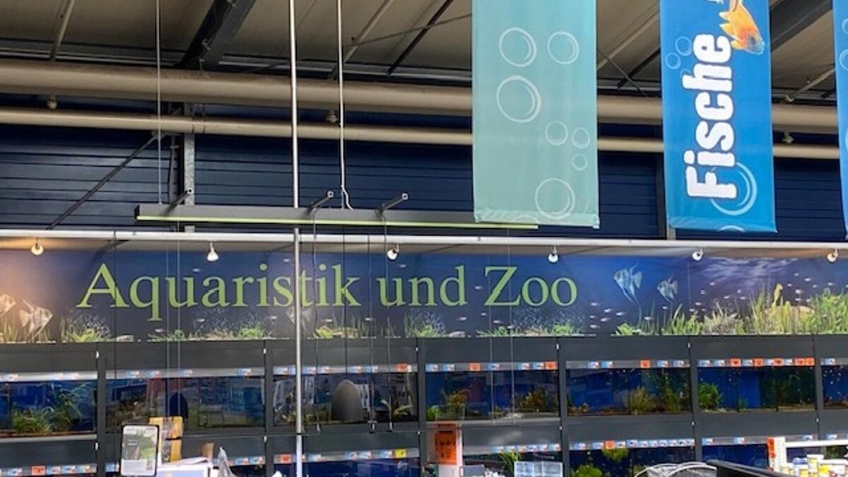 Bilder HORNBACH Gartencenter Kiel