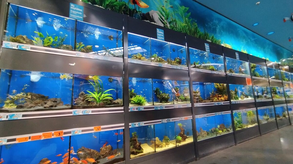 Bilder HORNBACH Gartencenter Sinsheim