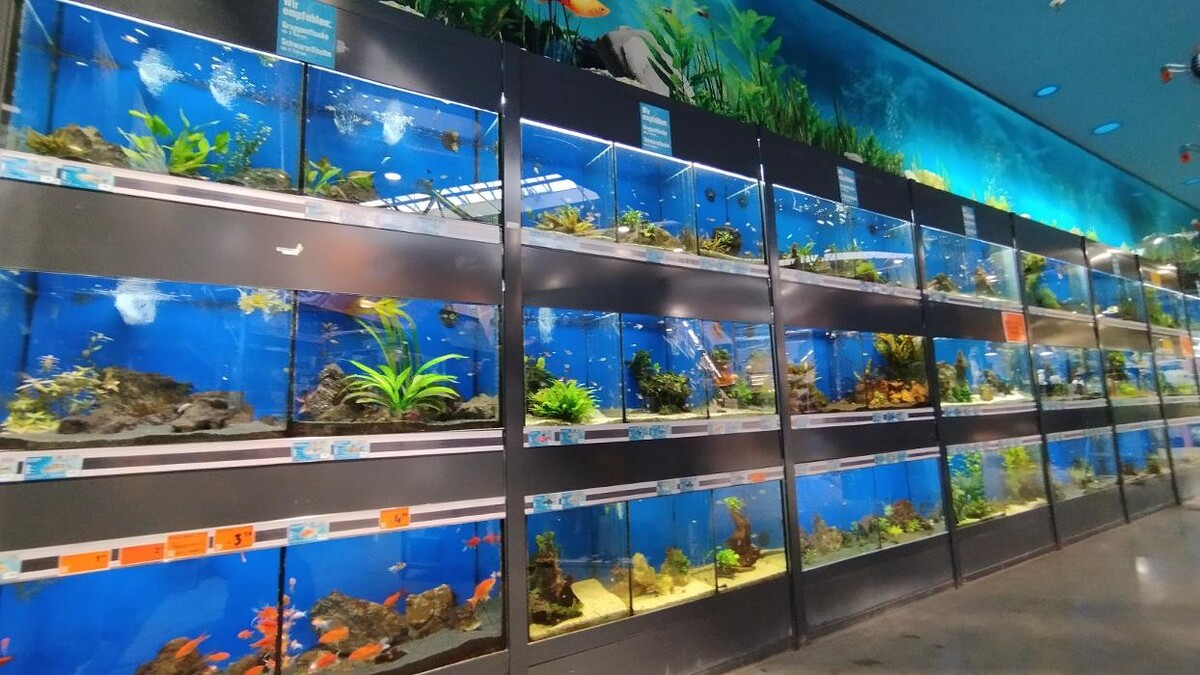 Bilder HORNBACH Gartencenter Sinsheim