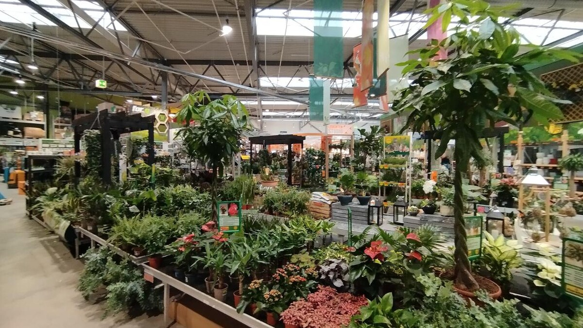Bilder HORNBACH Gartencenter Sinsheim
