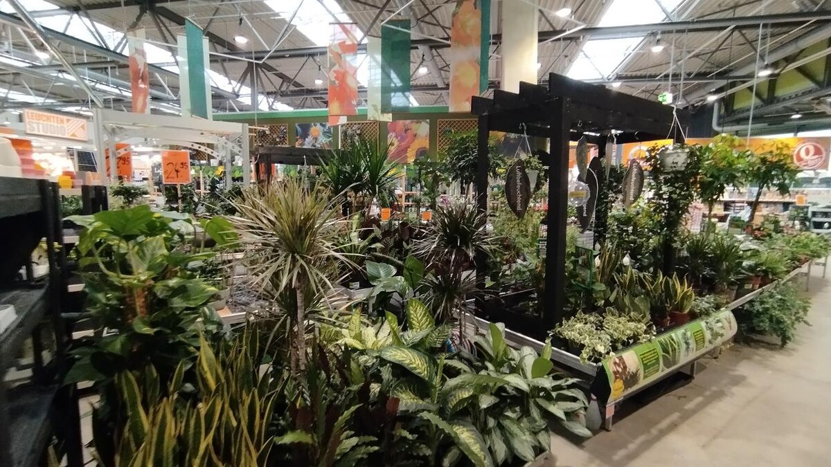 Bilder HORNBACH Gartencenter Sinsheim