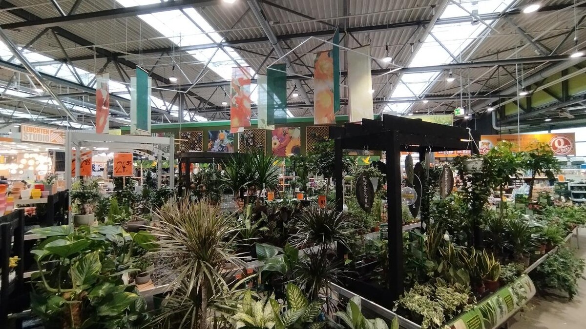 Bilder HORNBACH Gartencenter Sinsheim