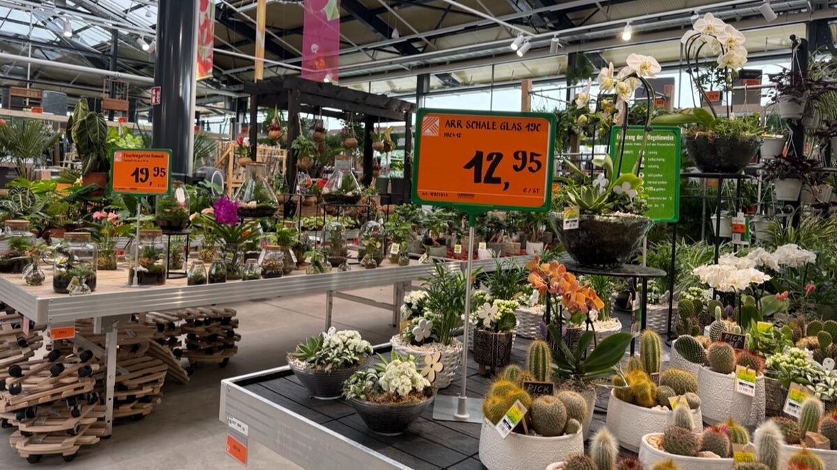 Bilder HORNBACH Gartencenter Duisburg-Wanheimerort