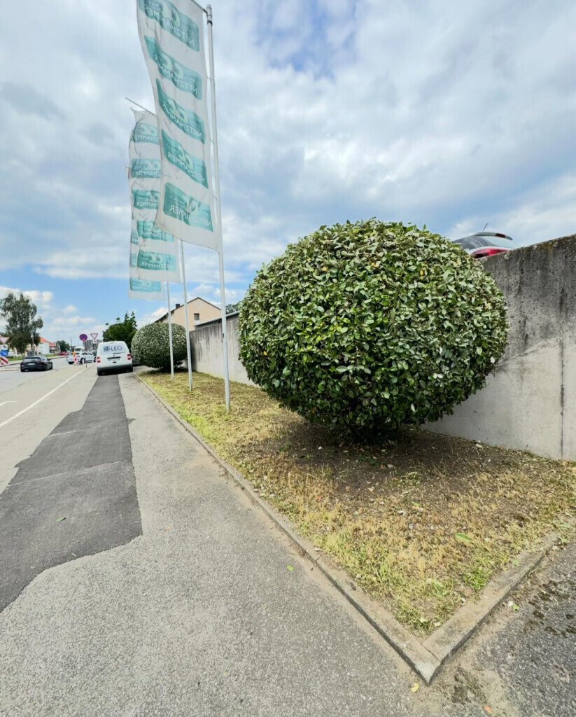 Bilder Hausmeisterservice Leo