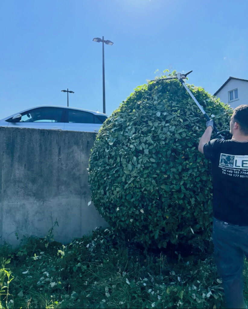 Bilder Hausmeisterservice Leo