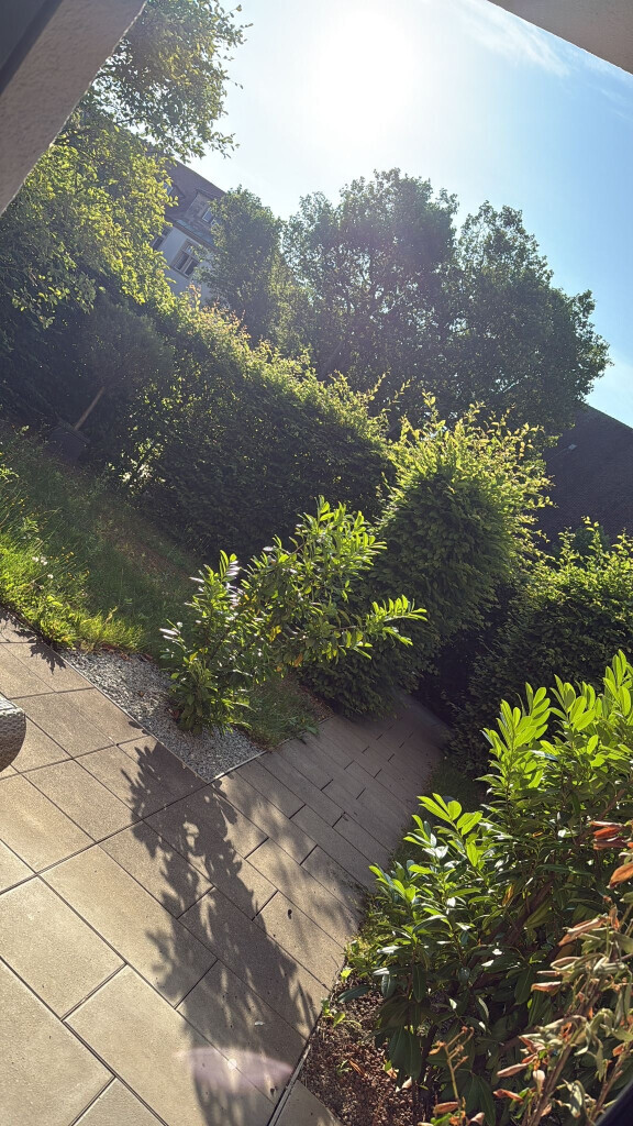 Bilder DuoPlus Haus & Garten Service