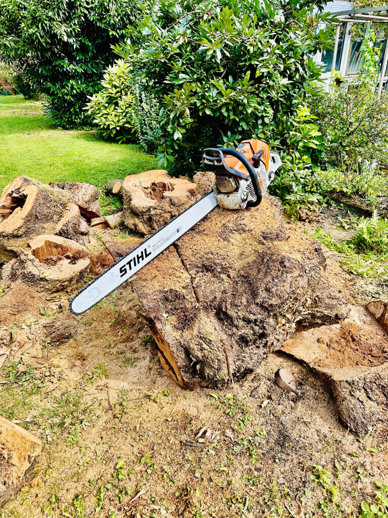 Bilder Garten- und Hausbetreuung