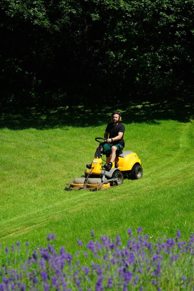 Bilder Garten- und Hausbetreuung