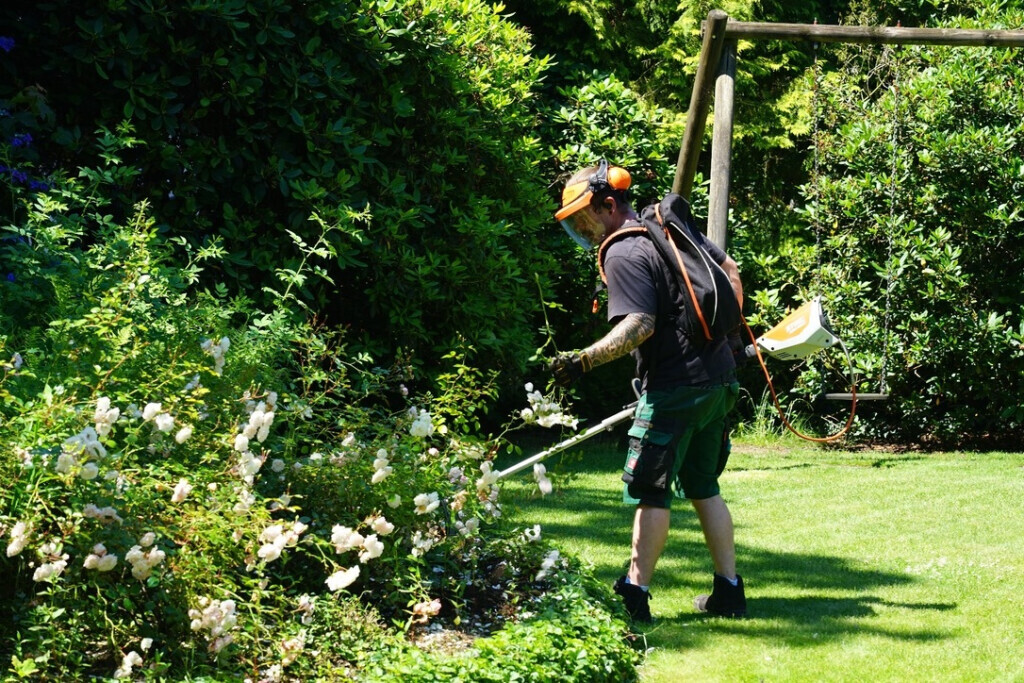 Bilder Garten- und Hausbetreuung