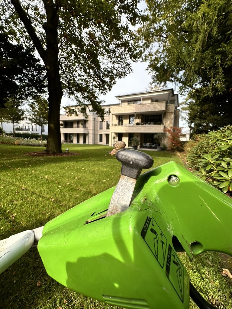 Bilder Garten- und Hausbetreuung