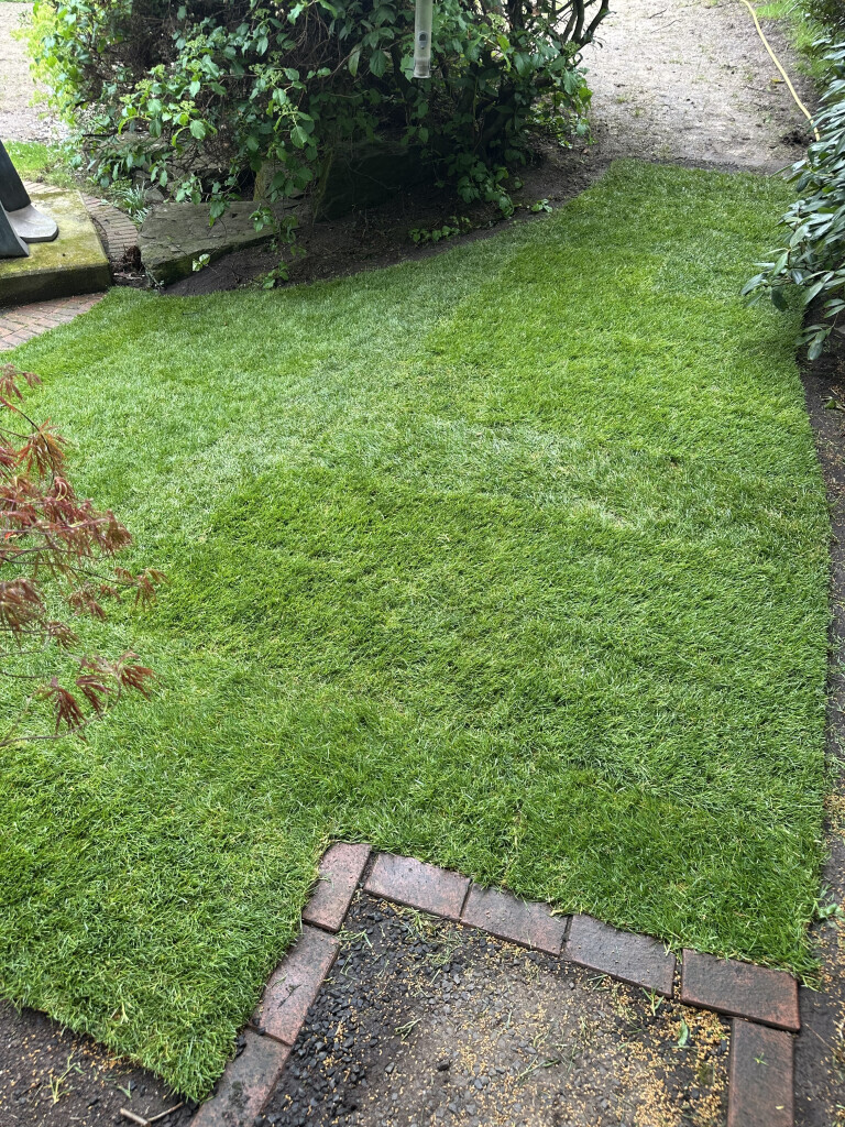 Bilder Garten- und Hausbetreuung