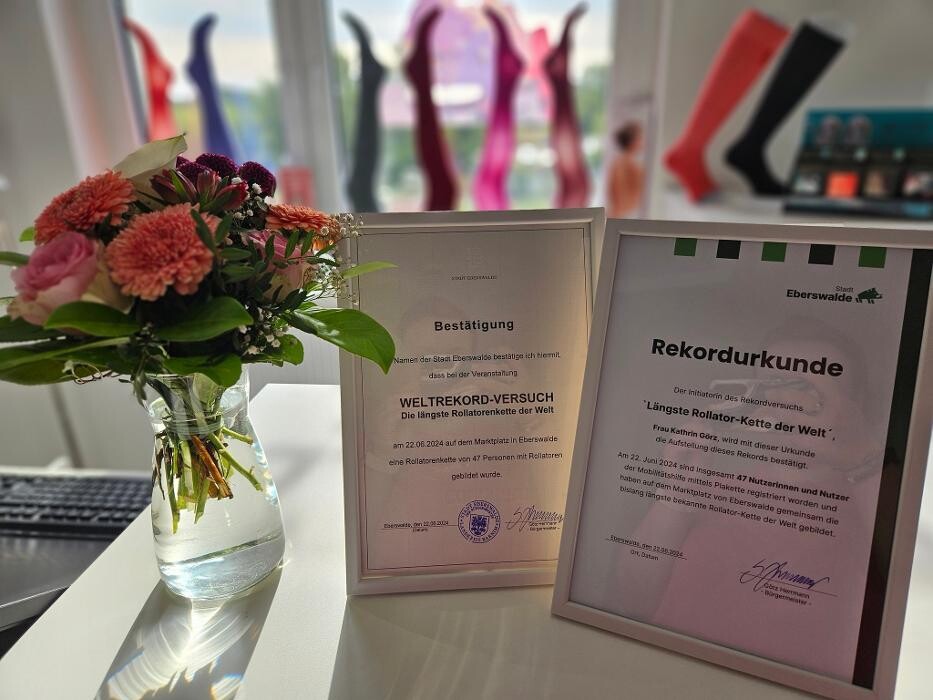 Bilder VenenStudio Eberswalde