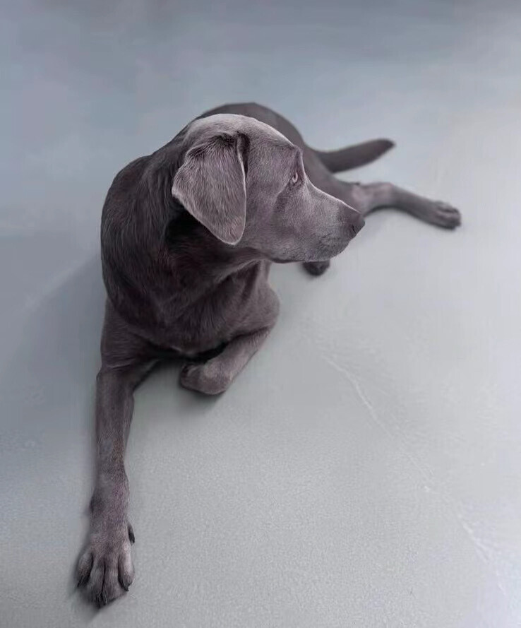 Bilder Sichtbeton Boden Ferati