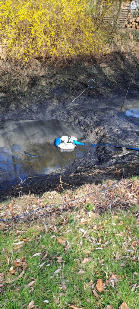 Bilder TE-Teichservice