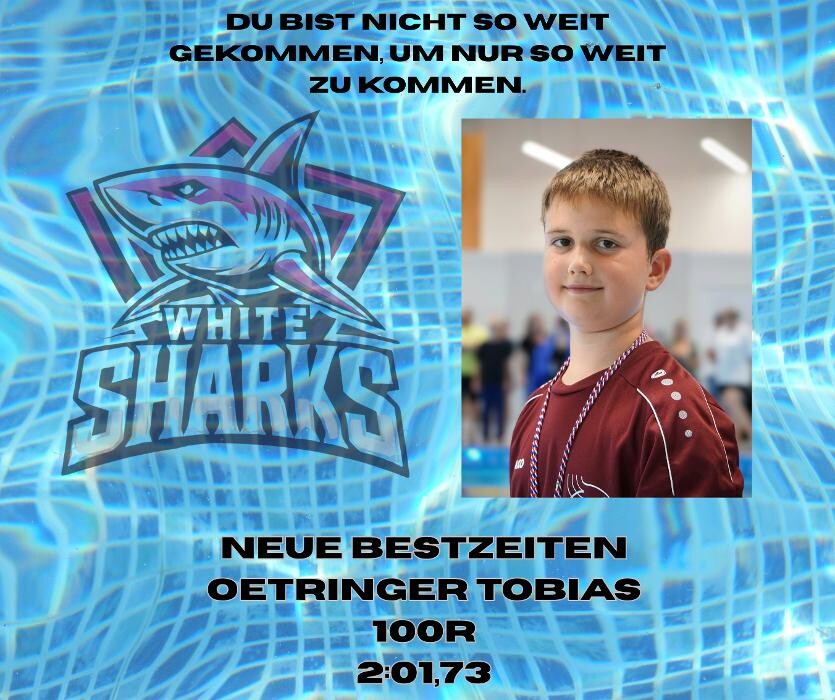 Bilder White Sharks e.V.