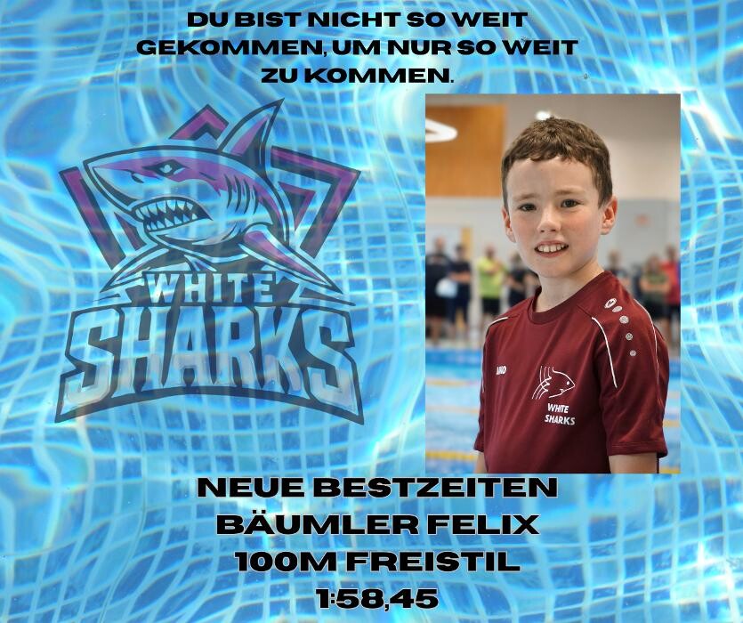 Bilder White Sharks e.V.