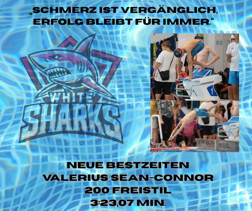 Bilder White Sharks e.V.