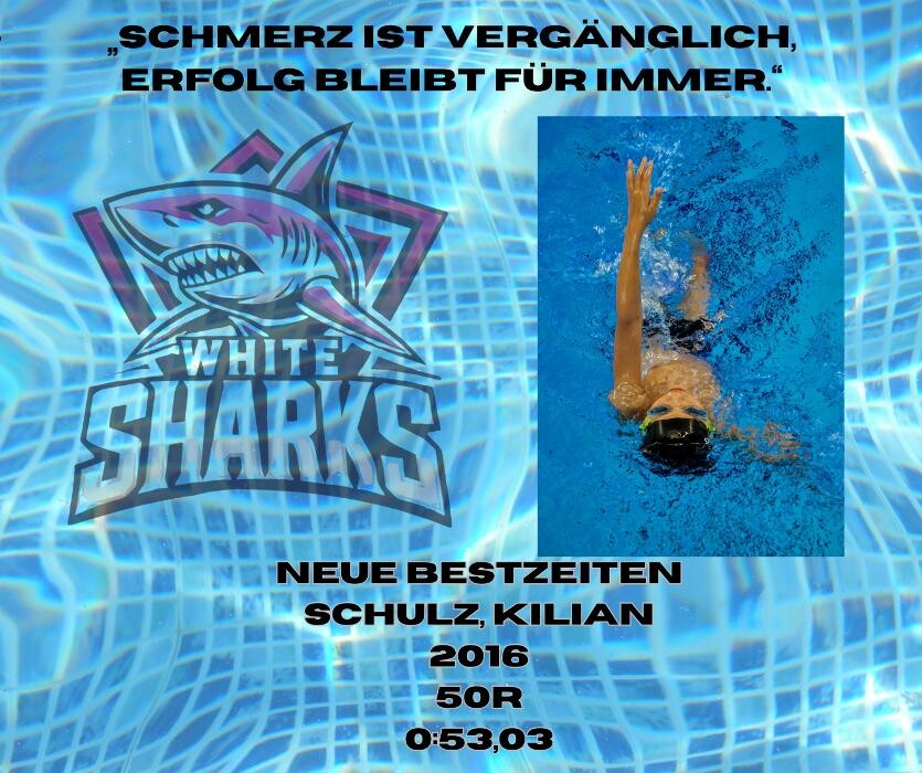 Bilder White Sharks e.V.