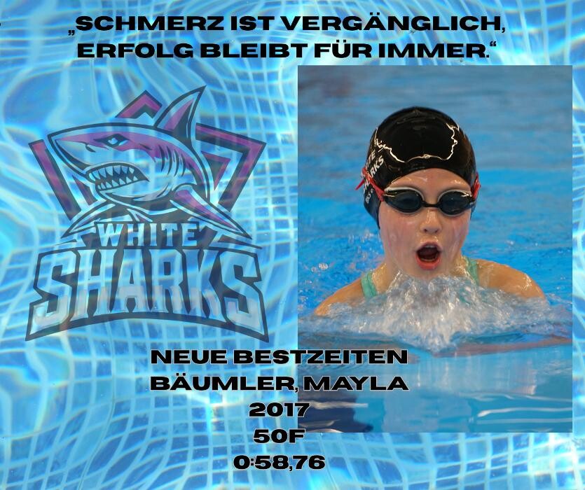 Bilder White Sharks e.V.