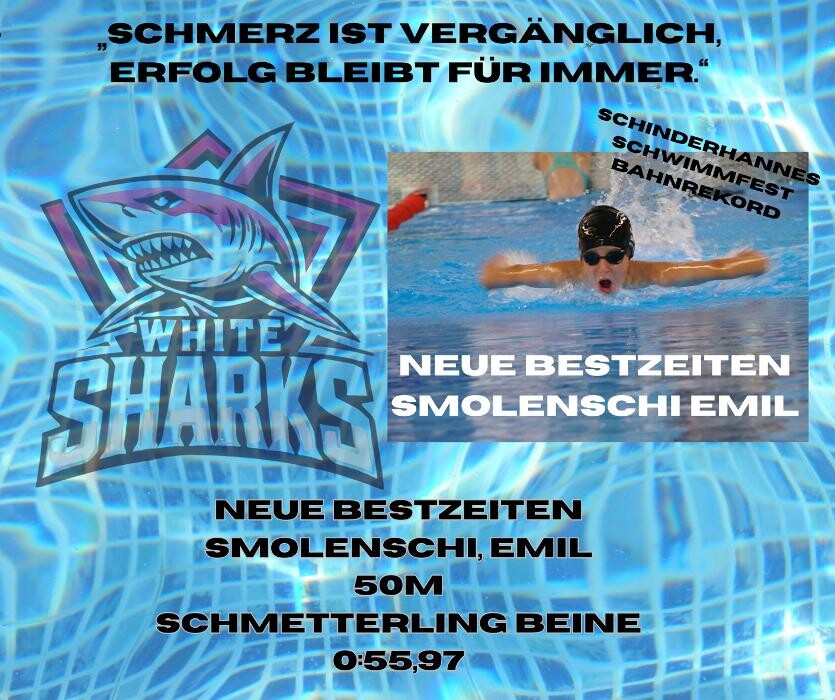 Bilder White Sharks e.V.