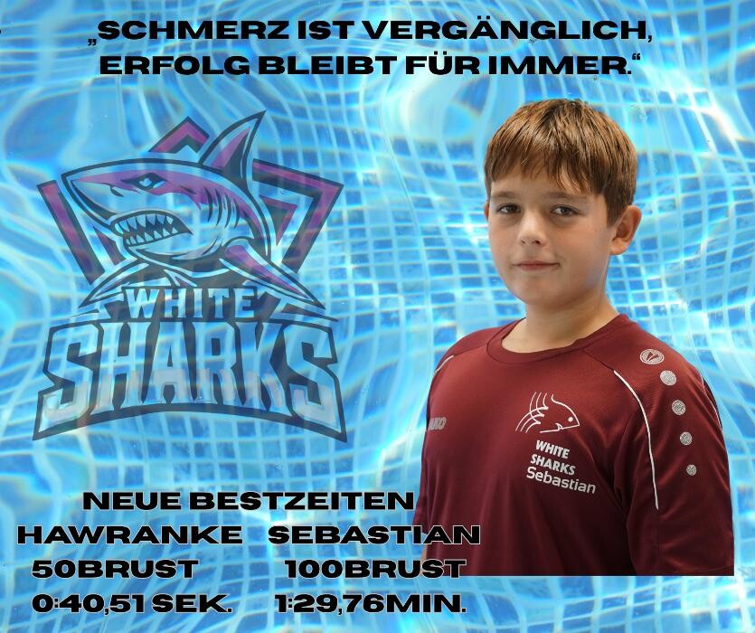 Bilder White Sharks e.V.