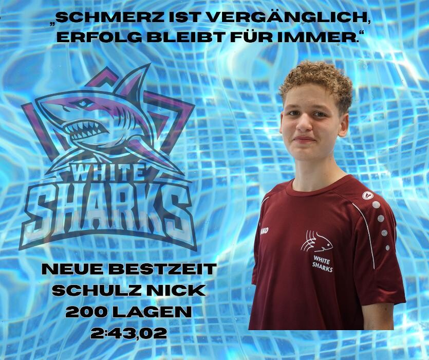 Bilder White Sharks e.V.