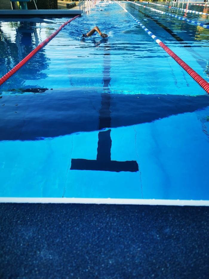 Bilder White Sharks e.V.