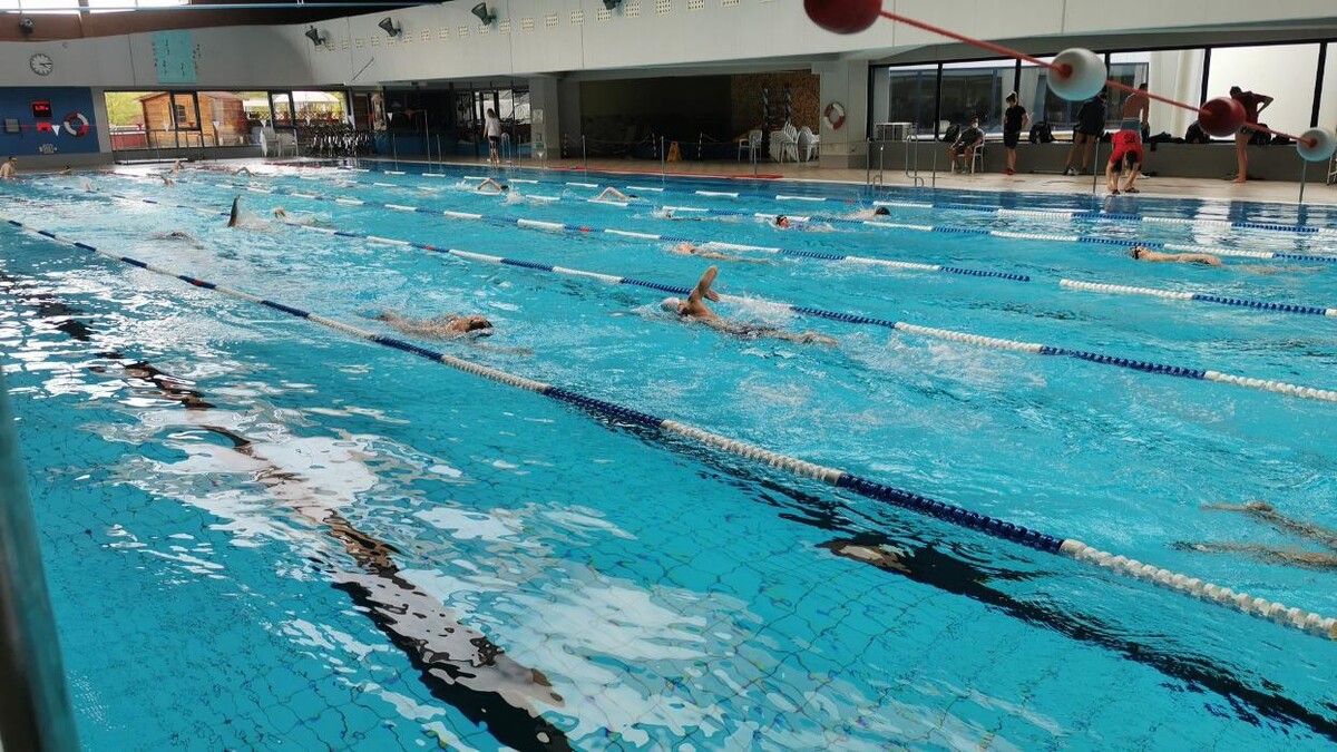 Bilder White Sharks e.V.