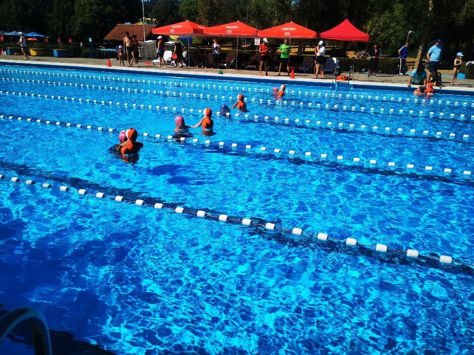 Bilder White Sharks e.V.