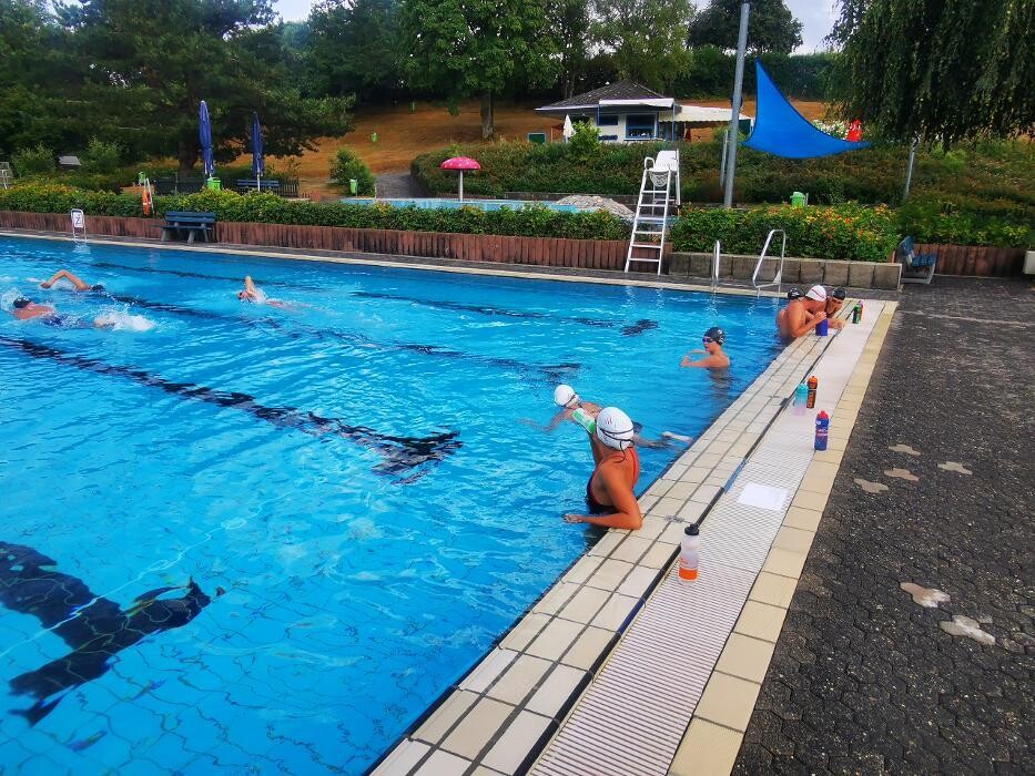 Bilder White Sharks e.V.