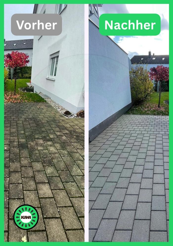 Bilder KIWI