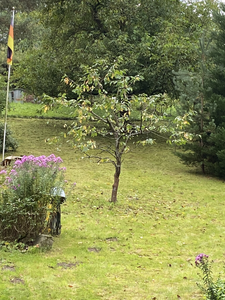 Bilder Rudloff Outdoor-Gestaltung