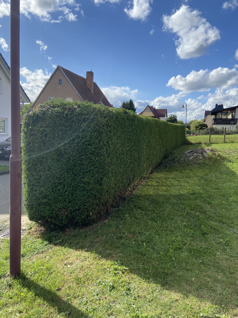 Bilder Rudloff Outdoor-Gestaltung