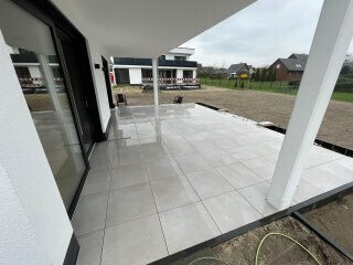 Bilder Galabau Löwen