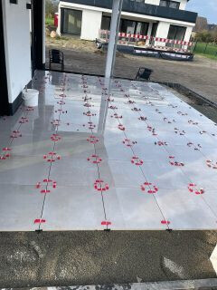 Bilder Galabau Löwen