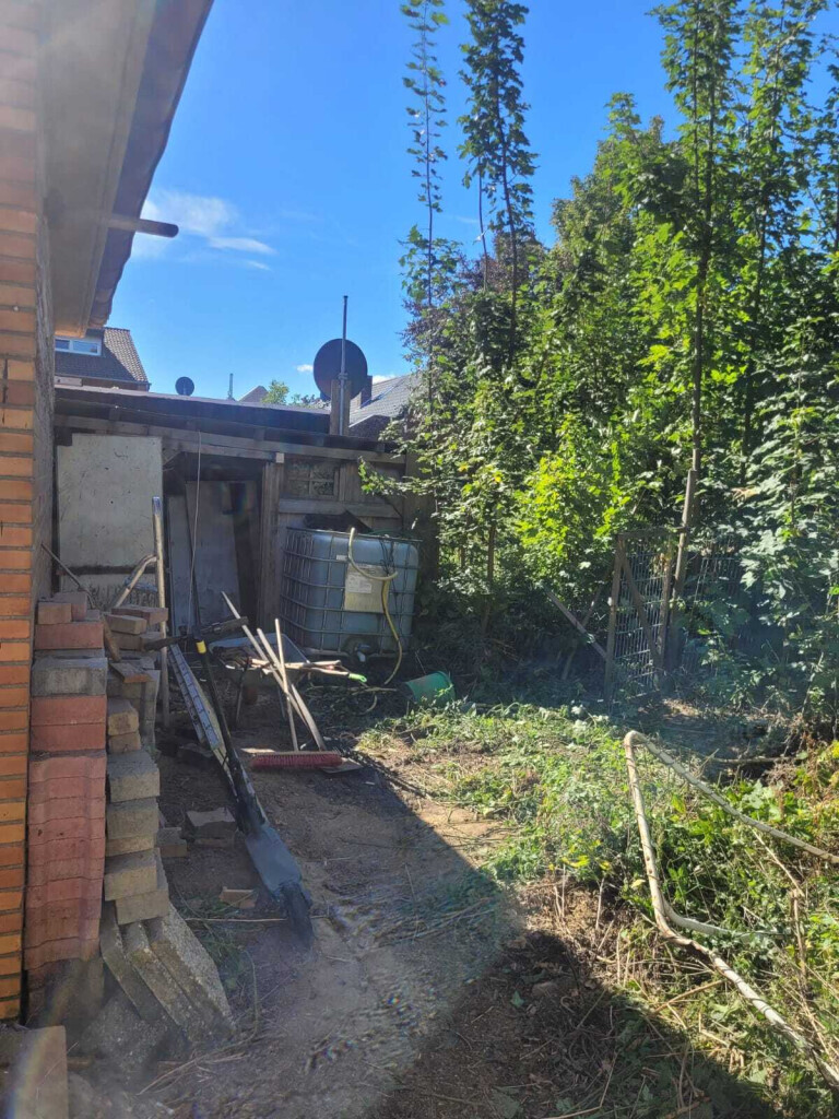 Bilder Scholz Allroundservice