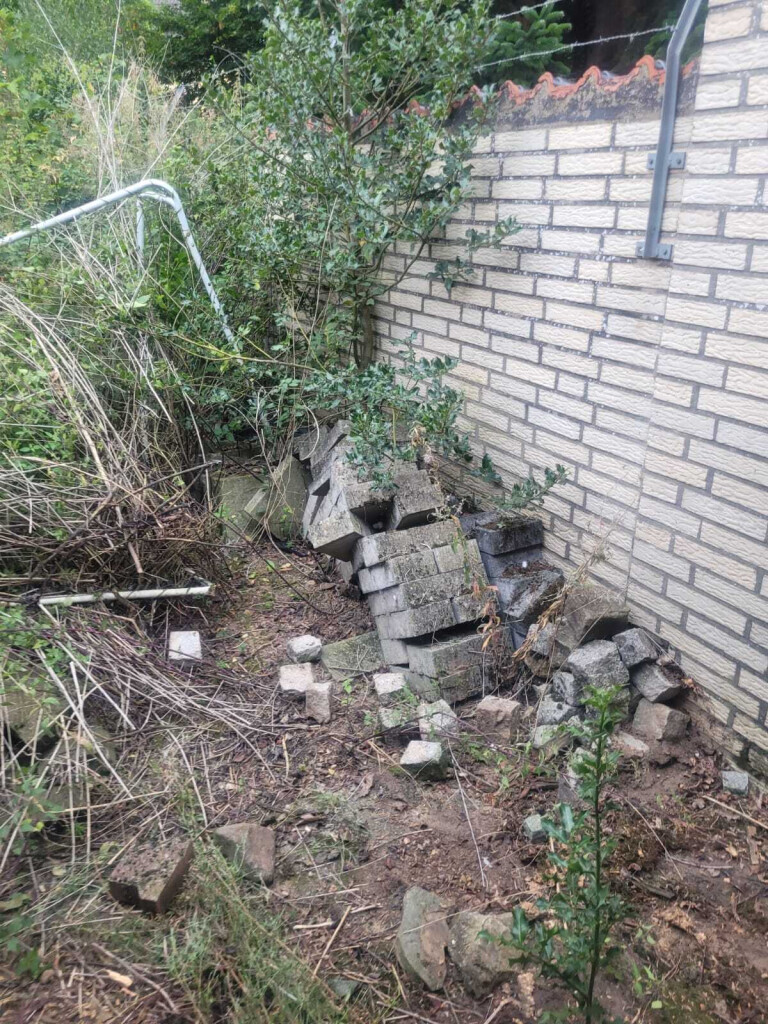 Bilder Scholz Allroundservice