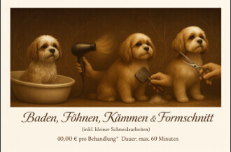 Bilder Serafino Oase