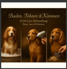 Bilder Serafino Oase